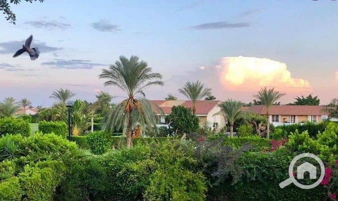 6 2022-05-07 (1). jpg