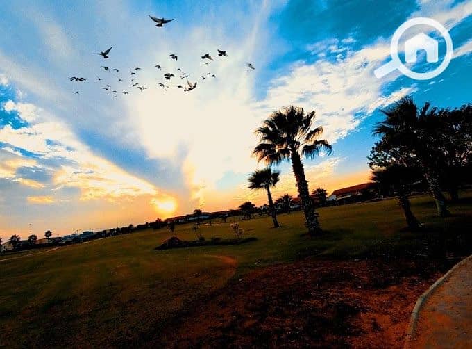 8 2022-05-07 (3). jpg