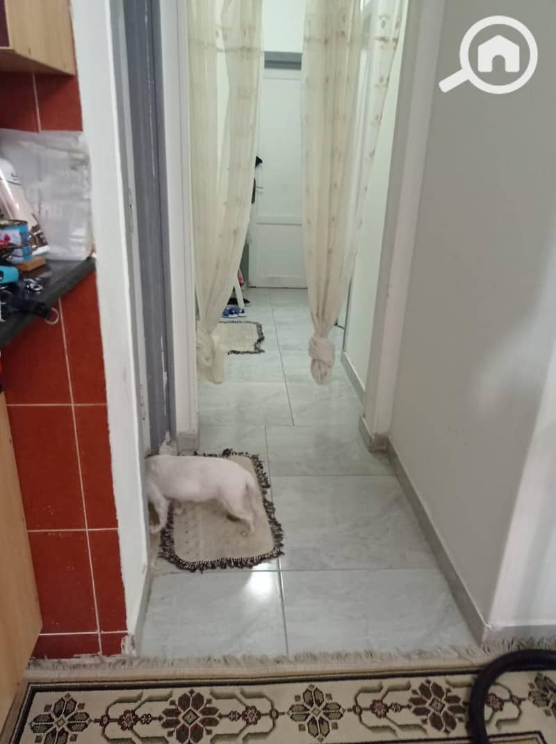 11 d96c24f3-d2e6-4829-8439-d5277223bc70. jpeg