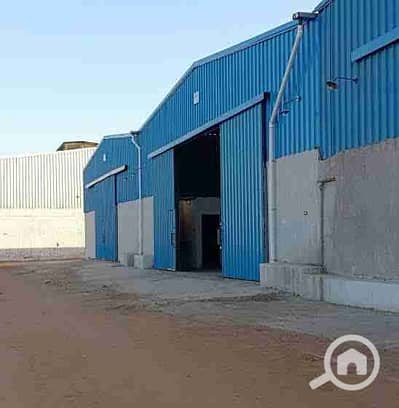 Factory for Rent in Marg, Cairo - 1000240283. jpg