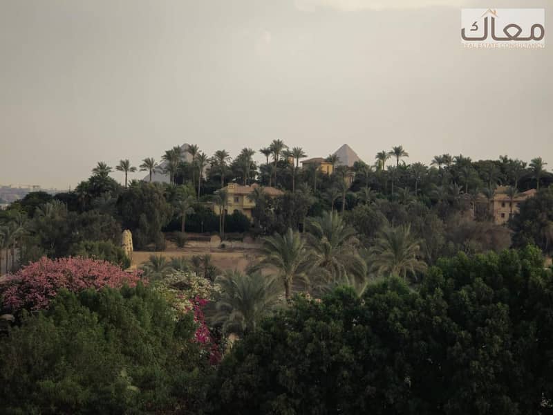 9 78d26772-7128-4cb9-8756-3efc61977b40. jpeg