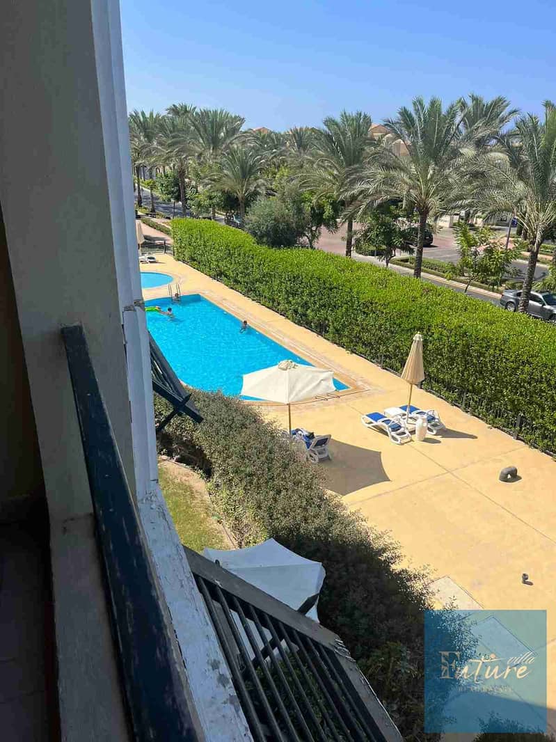 1000570926. jpg 1000570926. jpg