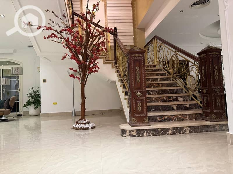 25 c30c56e4-4349-45fd-a7f2-5f4ff7d8ede5. jpeg