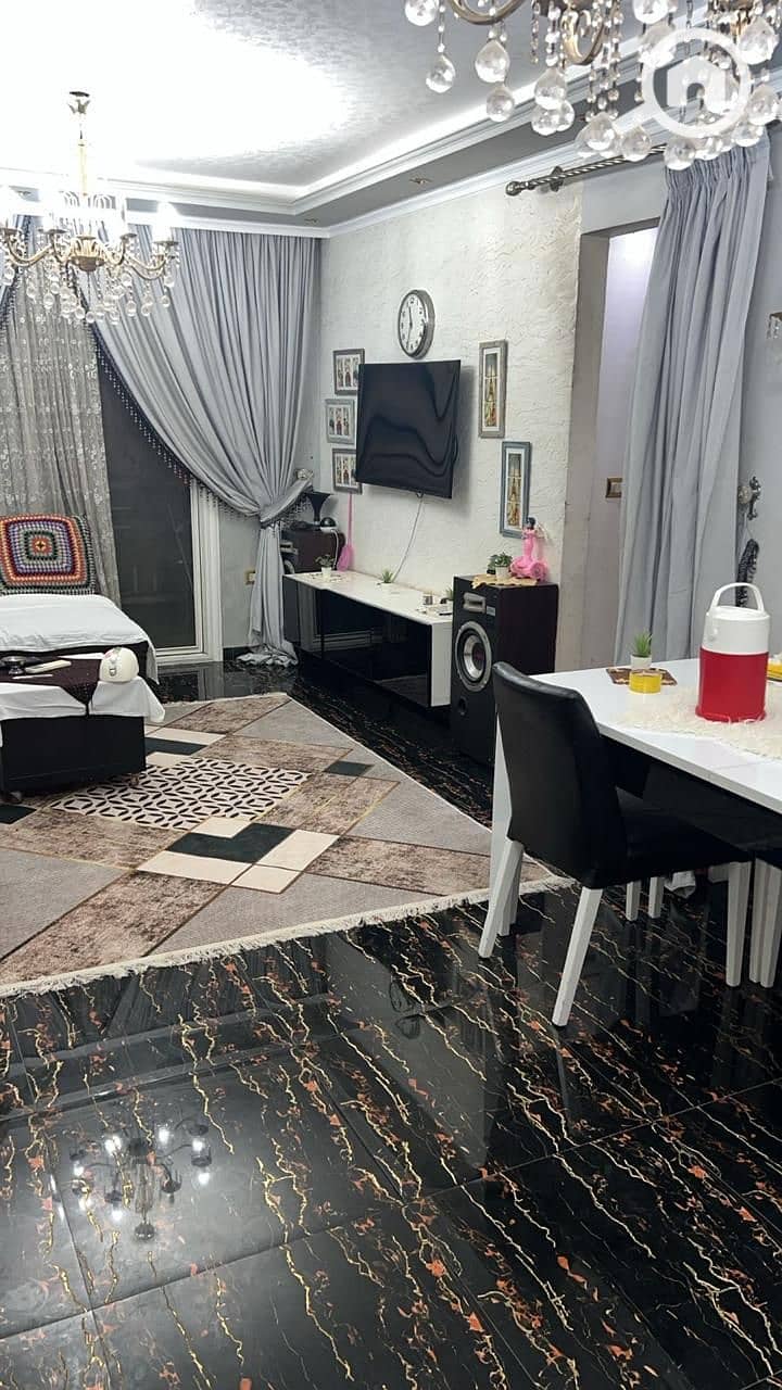 5 WhatsApp Image 2025-11-07 at 14.17. 07_a0e9bf7f. jpg