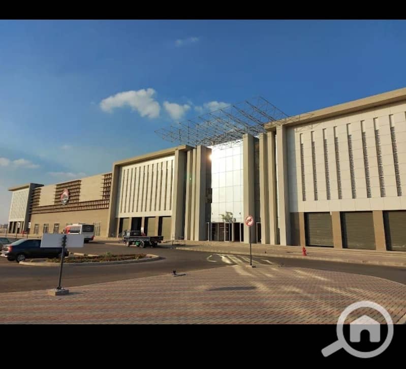 4 WhatsApp Image 2025-11-08 at 13.19. 11_f0fffa36. jpg