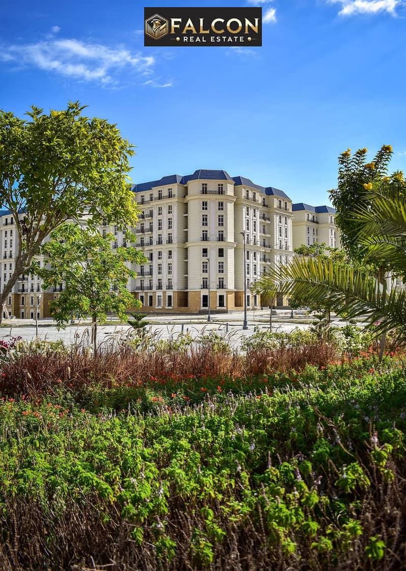 5 WhatsApp Image 2025-08-14 at 16.16. 47_d3c519fc. jpg