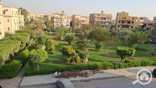 فلیٹ 4 غرف نوم للايجار في القاهرة الجديدة، القاهرة - WhatsApp Image 2025-11-08 at 13.30. 52_4bcb0289. jpg فلیٹ 4 غرف نوم للايجار في القاهرة الجديدة، القاهرة - WhatsApp Image 2025-11-08 at 13.30. 52_4bcb0289. jpg