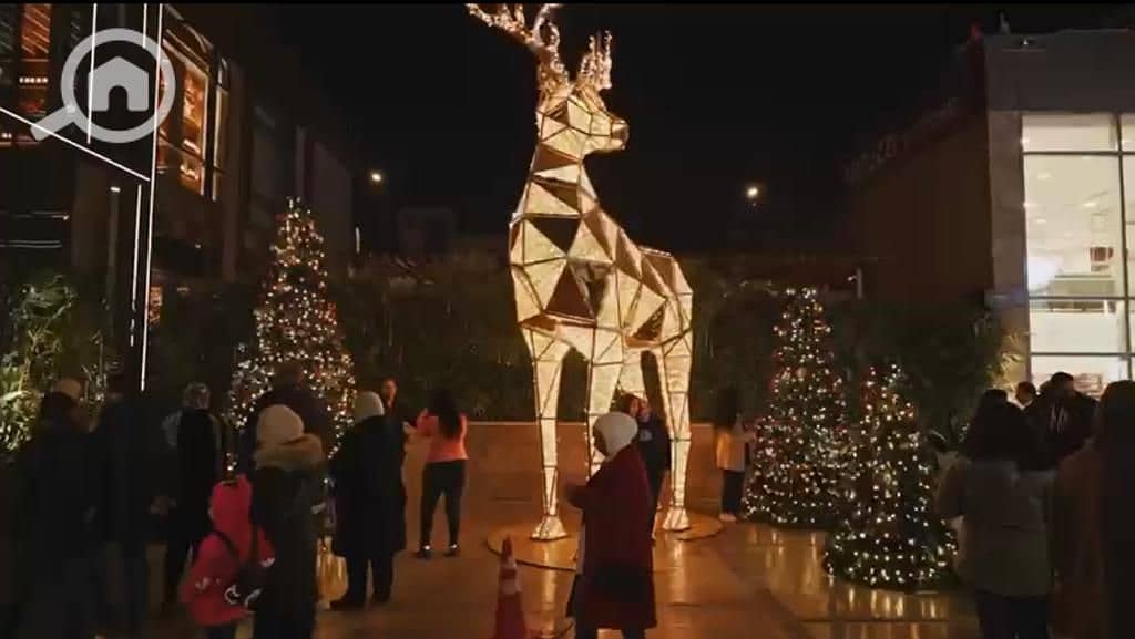 3 WhatsApp Image 2022-11-03 at 8.48. 18 PM (2). jpeg