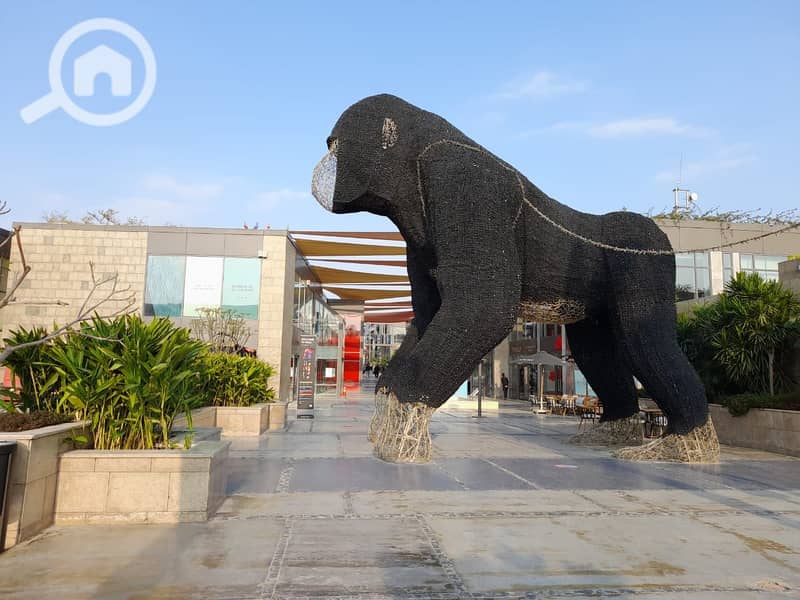 6 WhatsApp Image 2022-11-09 at 3.21. 45 PM (1). jpeg