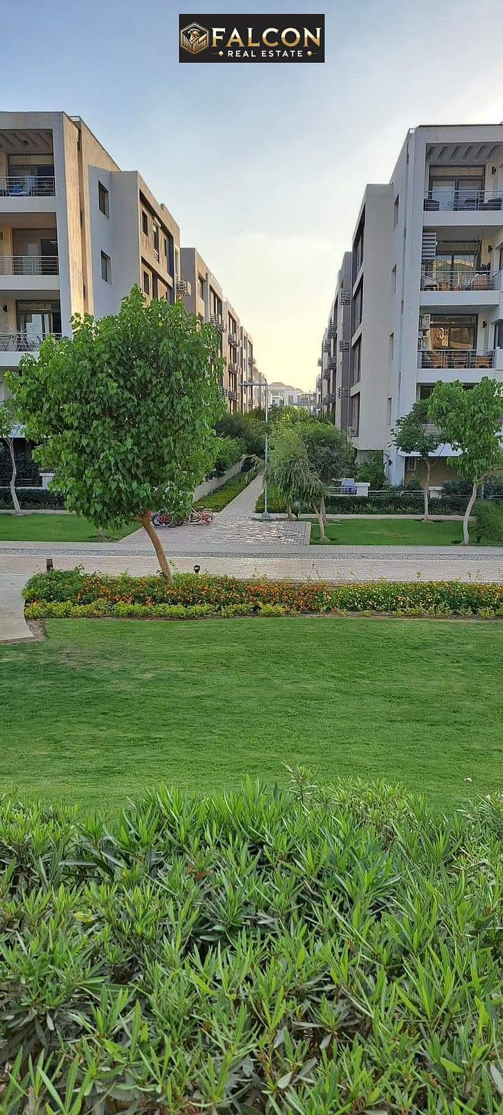 WhatsApp Image 2025-07-30 at 13.01. 09_bc298bfb. jpg