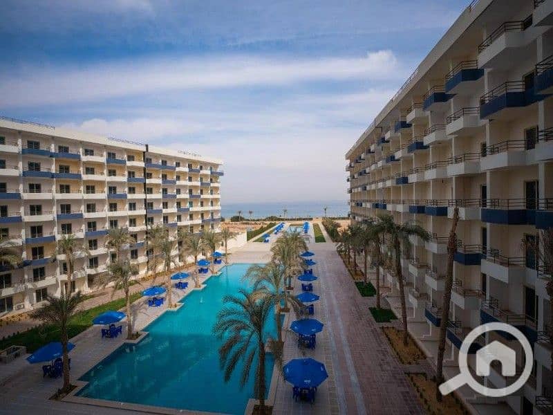 3 WhatsApp Image 2025-09-17 at 3.46. 55 PM. jpeg