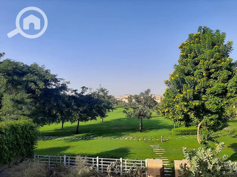 14 125147499_853177322141185_7302017290784592402_n. jpg