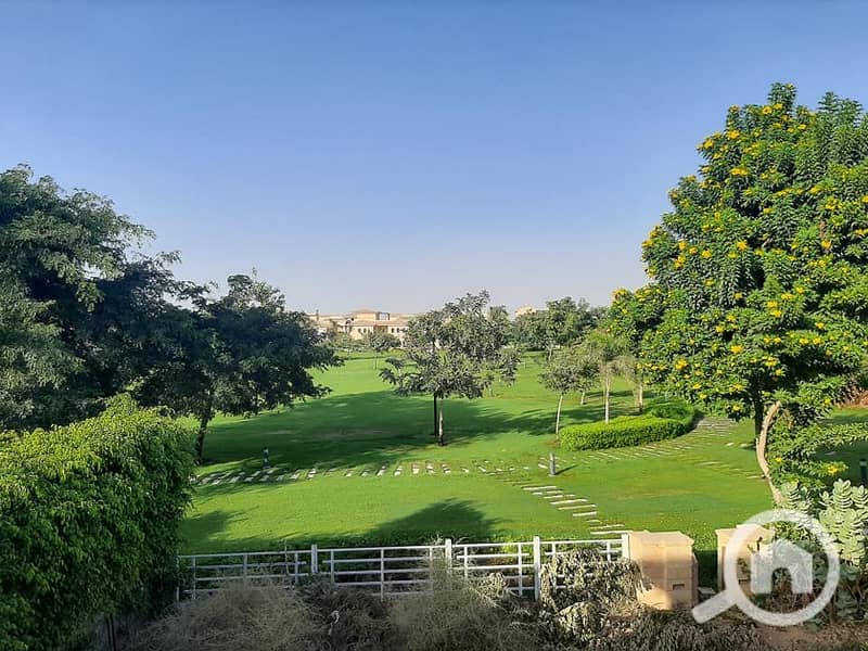 17 125256051_853177245474526_7128135003311693631_n. jpg