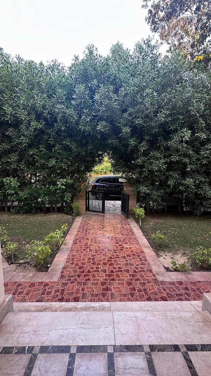 9 369dd146-2906-465e-adf3-fcd64d0f1f4f. jpg