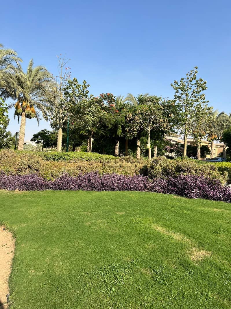 10 b6572f17-6cba-42f4-a64a-6625068e27be. jpeg