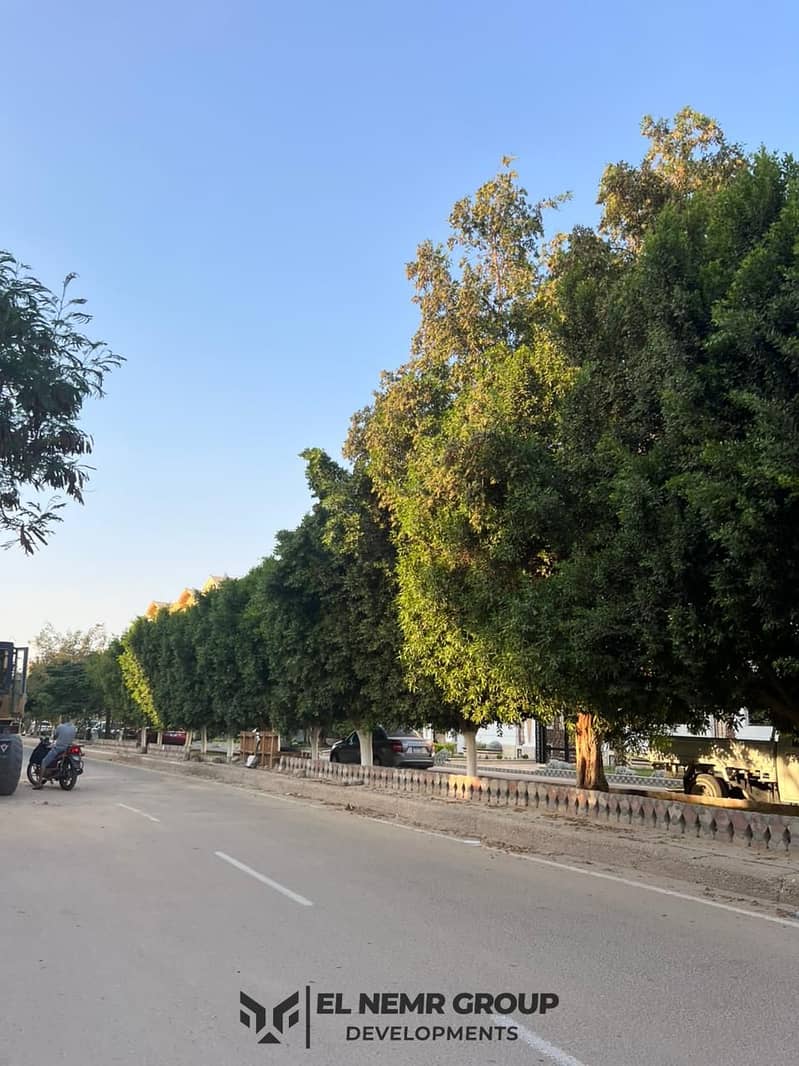 4 7796c140-6209-4826-8fca-57d077ec527d. jpg