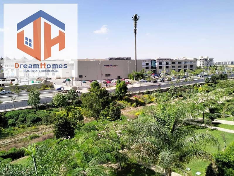 3 6666666666666666. jpg