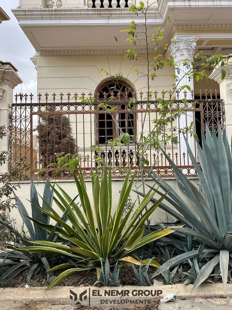 7 WhatsApp Image 2025-05-29 at 3.15. 23 PM (1). jpeg