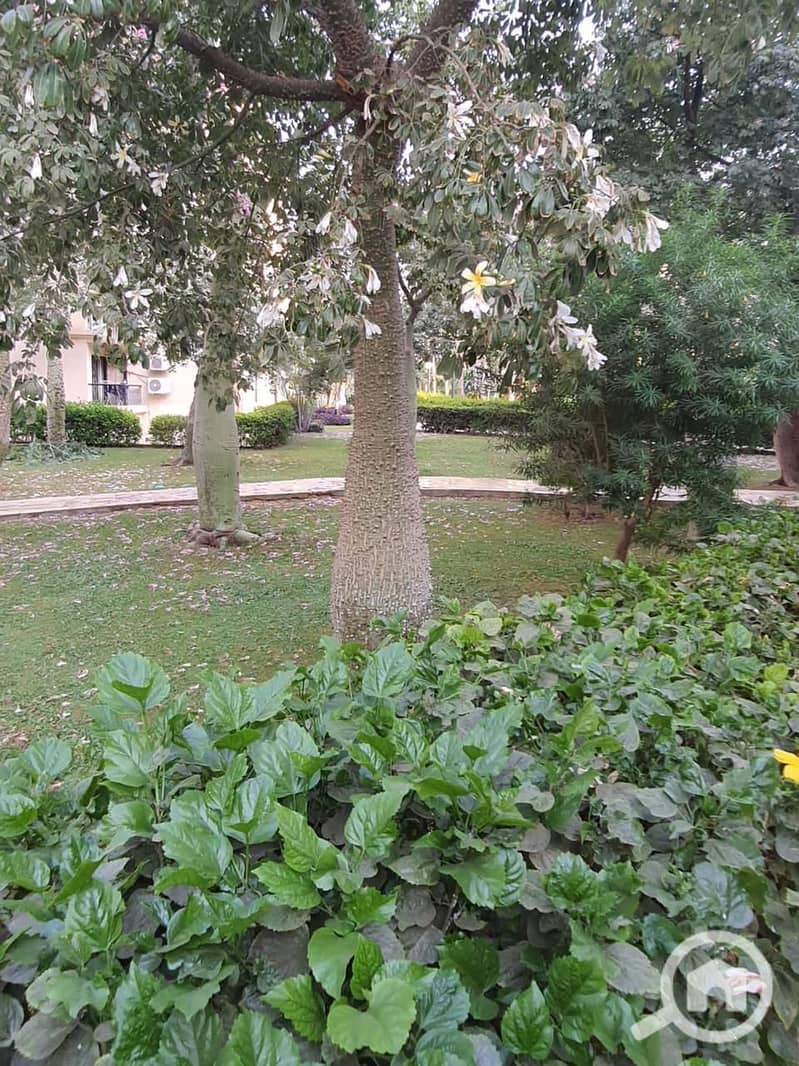 4 603938c3-4d9a-45ae-881d-15fcae90d1e0. jpeg