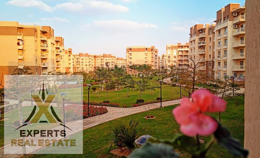 WhatsApp Image 2025-11-08 at 3.00. 51 PM. jpeg WhatsApp Image 2025-11-08 at 3.00. 51 PM. jpeg