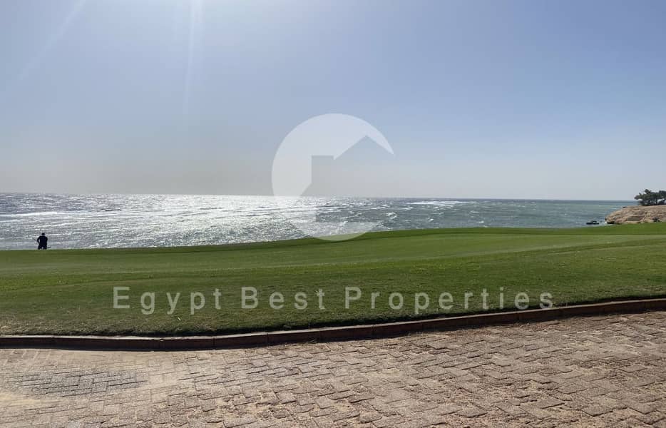 8 WhatsApp Image 2025-05-21 at 14.39. 08_bc6e3f48. jpg