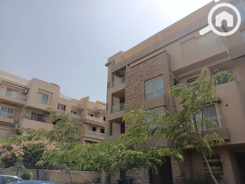 3 IMG20250729144313. jpg