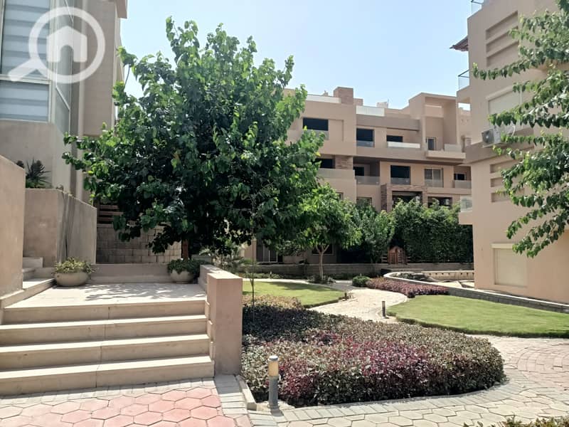 4 IMG20250729144413. jpg