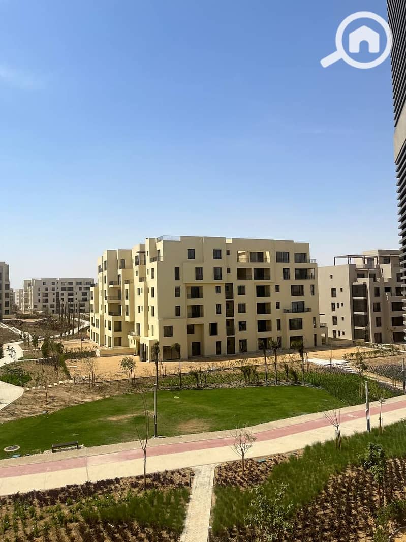 7 photo_2024-04-02_03-04-14. jpg