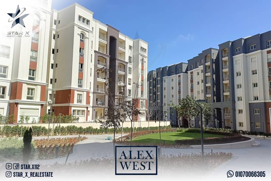 10 Artboard 6 (1). jpg