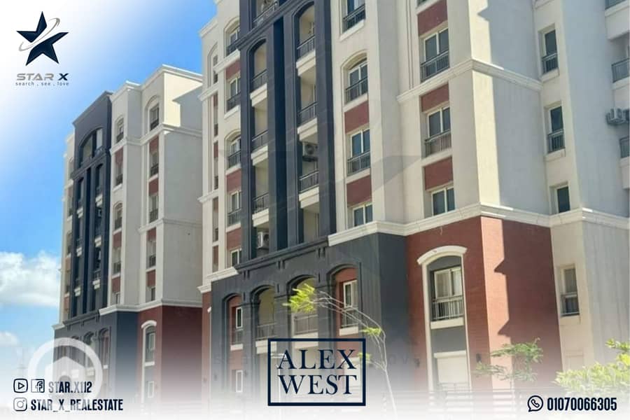 11 Artboard 5 (1). jpg