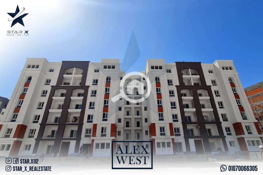 13 Artboard 4 (1). jpg