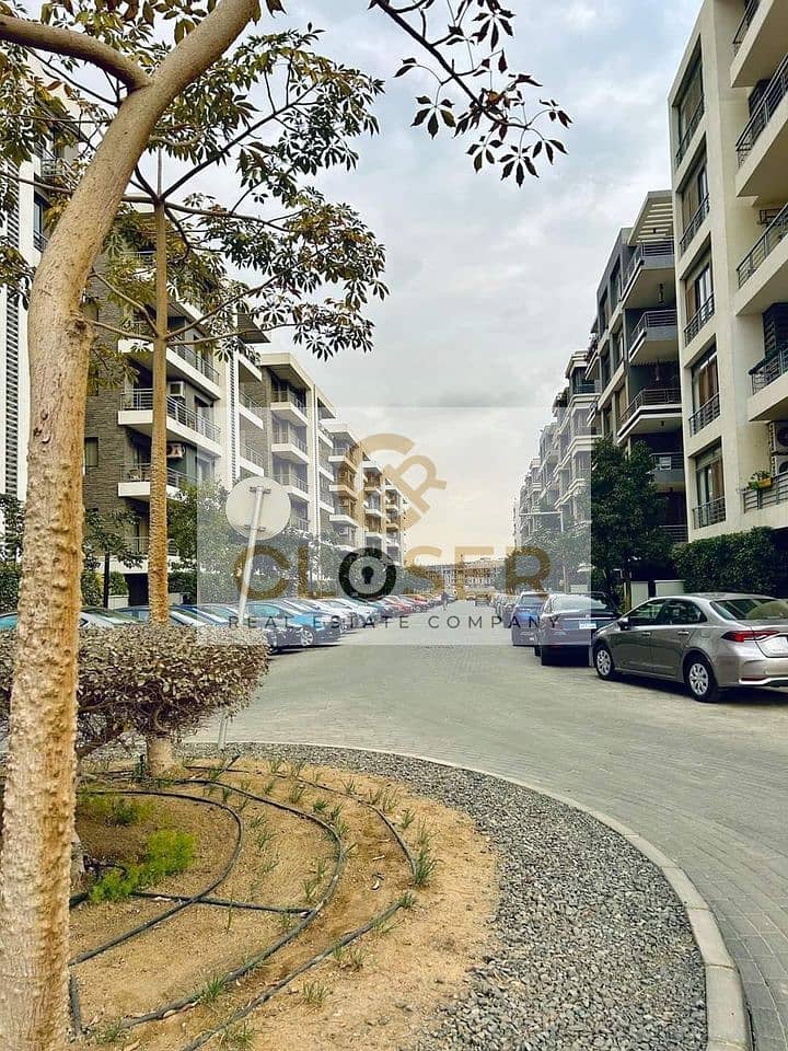 4 453252383_1889146184845525_7323986228247142819_n. jpg