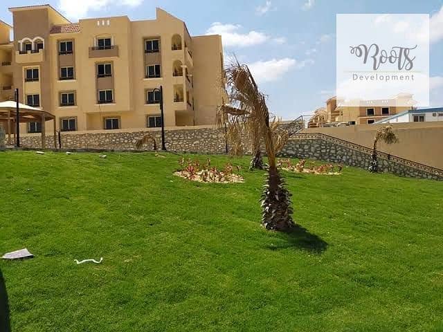 5 WhatsApp Image 2025-11-07 at 15.44. 34 (4). jpeg