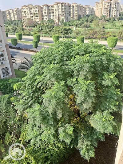 2 Bedroom Flat for Sale in Madinaty, Cairo - d716875c-b86e-4ed3-aa95-e27f06951566. jpg