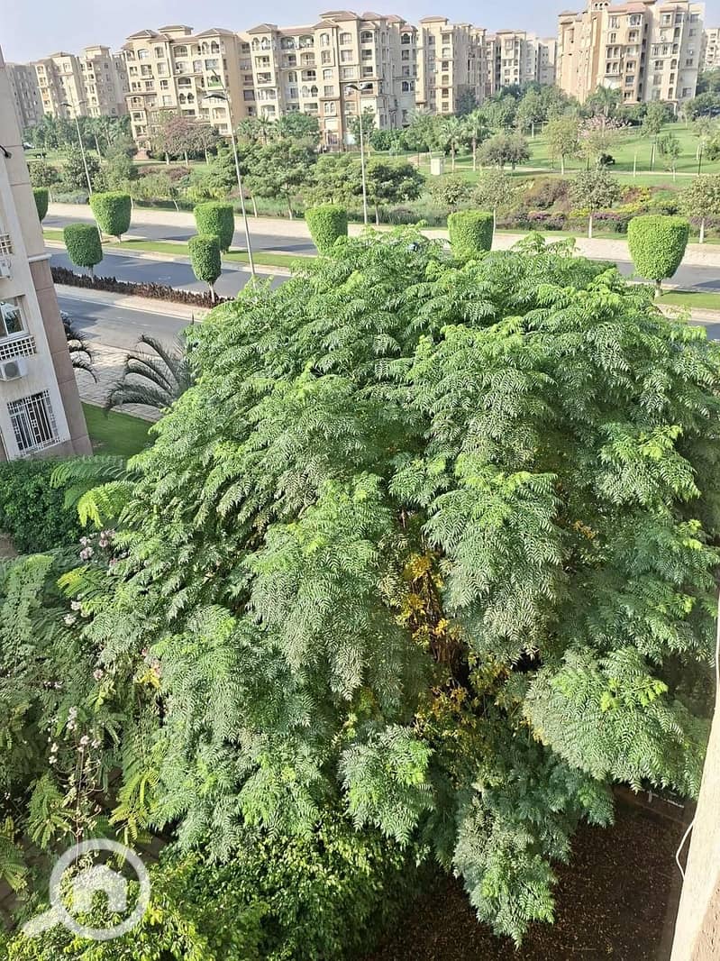 d716875c-b86e-4ed3-aa95-e27f06951566. jpg d716875c-b86e-4ed3-aa95-e27f06951566. jpg