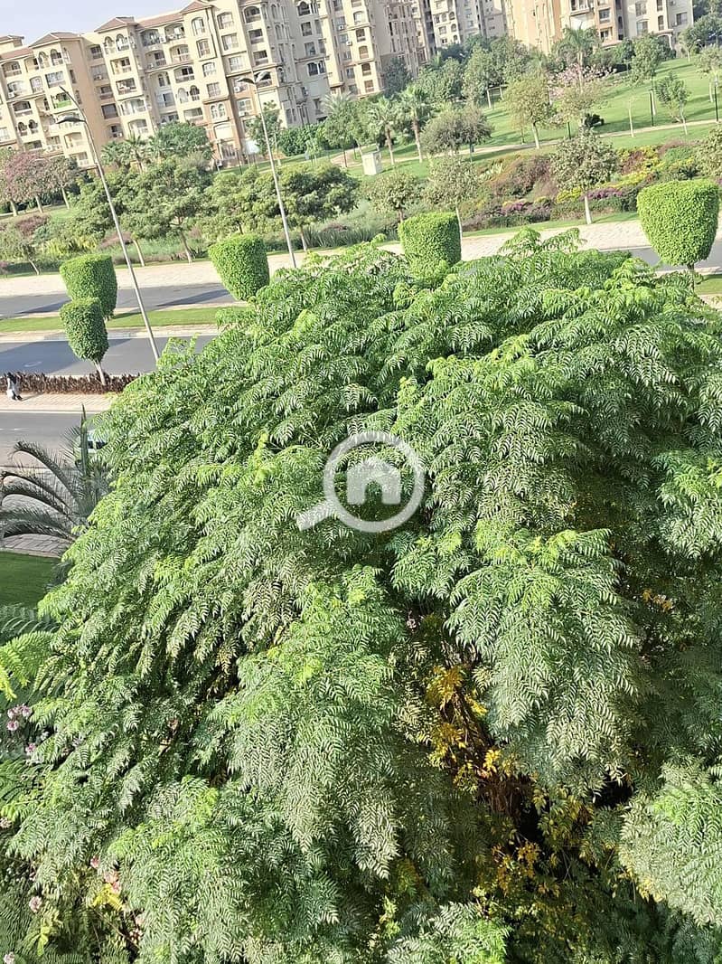 2 4c70a196-57f1-45bb-b5bb-3ee7ec3242e5. jpg