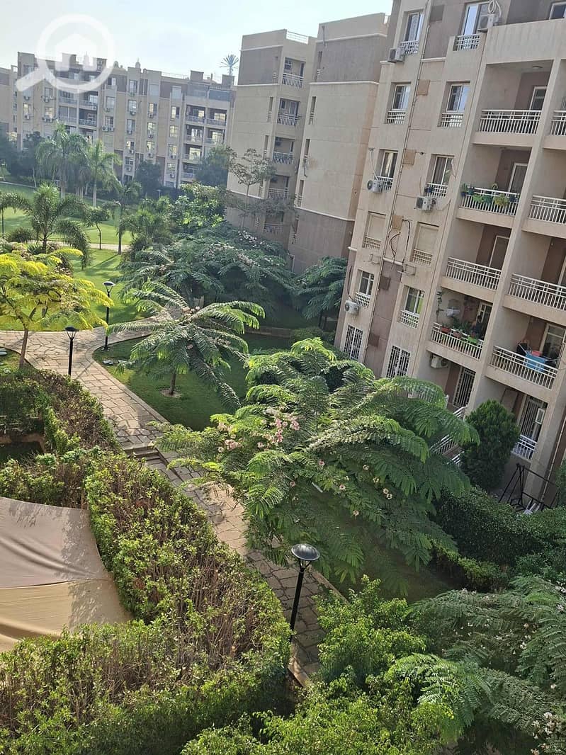 3 80b896ce-73f6-43a9-a729-483e9977c952. jpg