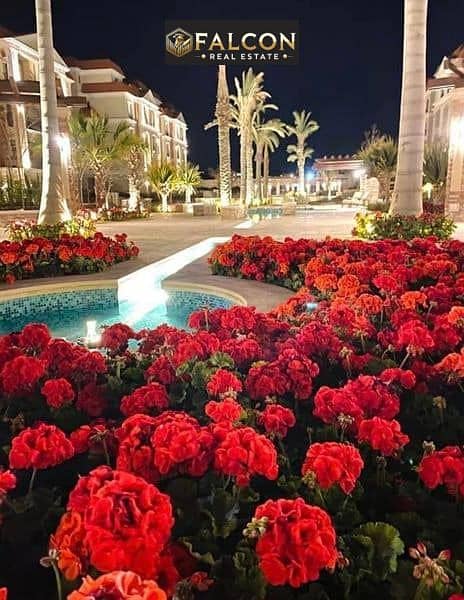 8 468206585_2361172687560820_8550854610144587823_n. jpg