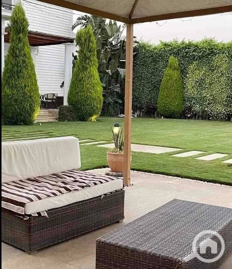 IMG_9942. jpg IMG_9942. jpg