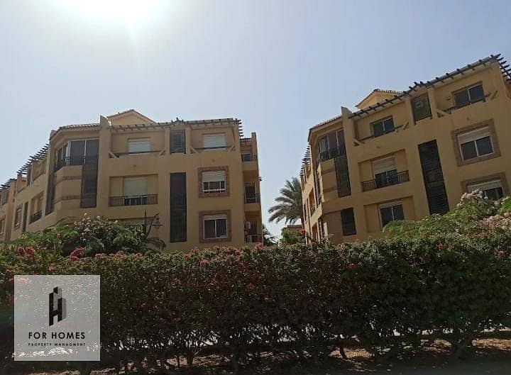 8 WhatsApp Image 2025-11-08 at 2.23. 52 PM (1). jpeg