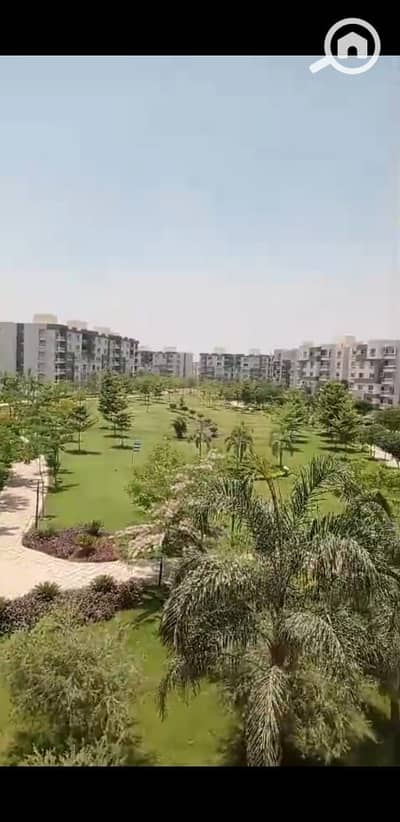 3 Bedroom Apartment for Sale in Madinaty, Cairo - WhatsApp Image 2025-11-08 at 3.54. 22 PM. jpeg 3 Bedroom Apartment for Sale in Madinaty, Cairo - WhatsApp Image 2025-11-08 at 3.54. 22 PM. jpeg