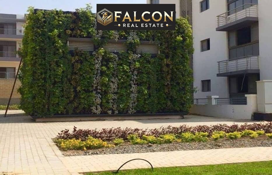 4 29473039_551013801947501_1309849003584838985_n. jpg