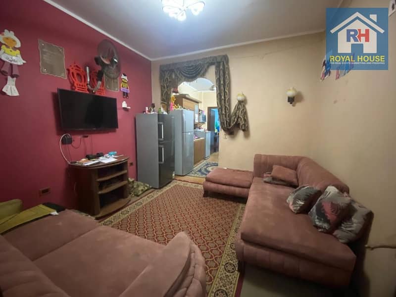 15 WhatsApp Image 2024-11-30 at 4.49. 55 PM (1) - Copy. jpeg