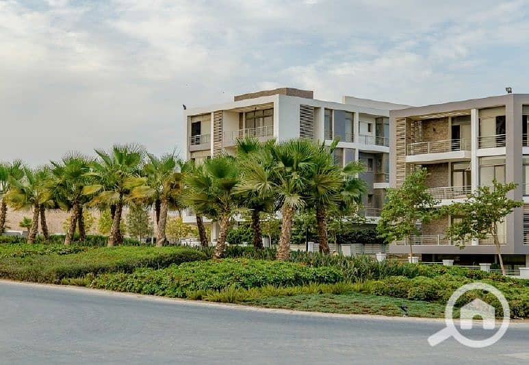 8 81872328_161994791693427_5348843736614830080_n. jpg