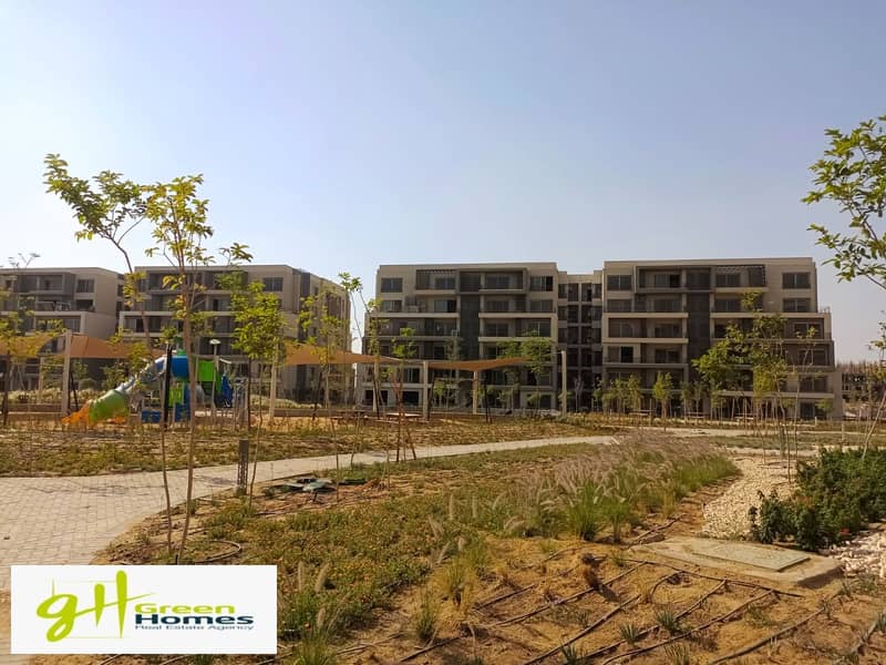 4 IMG-20251103-WA0071. jpg