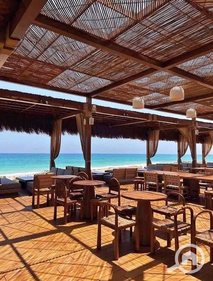 7 510477474_10017879861638590_5771369208998387963_n. jpg