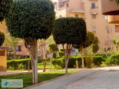 3 Bedroom Apartment for Rent in New Cairo, Cairo - WhatsApp Image 2025-11-08 at 5.31. 06 PM. jpeg