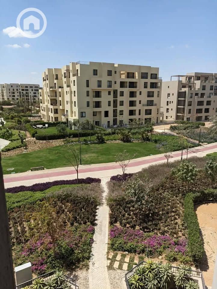 8 526726561_122125750208902727_6844257171257079068_n. jpg