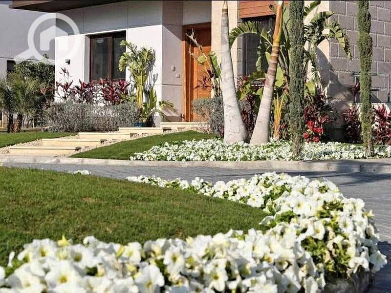 12 563535667_829524956396259_6763562653379335180_n. jpg