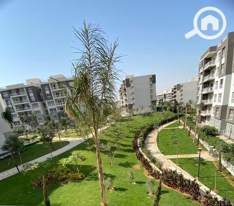 3 WhatsApp Image 2025-11-08 at 13.54. 04_b17315eb. jpg